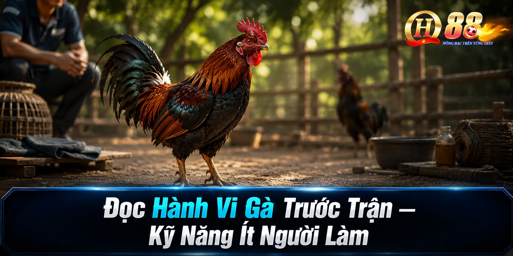 Đọc Hành Vi Gà Trước Trận – Kỹ Năng Ít Người Làm
